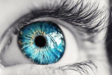 IPMC/CNRS/UCA - Atelier scientifique sur la vision 