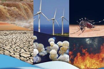 Premier rapport d'évaluation sur la Méditerranée : CHANGEMENT CLIMATIQUE ET ENVIRONNEMENTAL DANS LE BASSIN MEDITERRANÉEN Situation actuelle et risques pour le futur Premier rapport d'évaluation sur la Méditerranée : CHANGEMENT CLIMATIQUE ET ENVIRONNEMENTAL DANS LE BASSIN MEDITERRANÉEN Situation actuelle et risques pour le futur