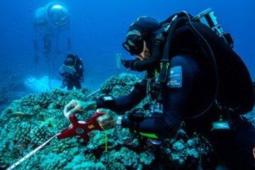 Au delà de la science qui tient une place prédominante pendant le programme Capsule, Under The Pole travaille pour sensibiliser aux menaces qui pèsent sur les récifs coralliens et la biodiversité qu’ils abritent à travers les documentaires, en donnant la parole aux scientifiques et via les programmes éducatifs menés dans les écoles.