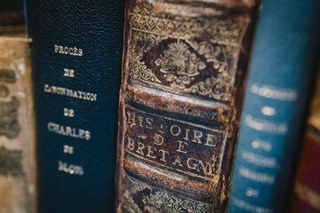 Bibliothèque de référence sur la Bretagne et les pays celtiques, reconnue par le CNRS, le centre documentaire Yves Le Gallo met à la disposition de tous ses collections et services.