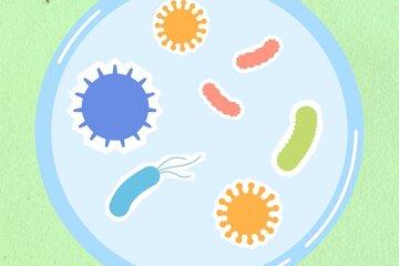 Germes et bactéries
