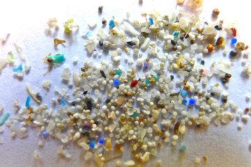microplastiques