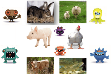 Microbiote