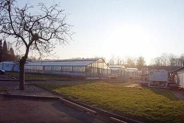 Observatoire du végétal