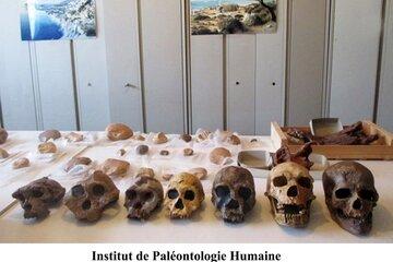 INSTITUT DE PALEONTOLOGIE HUMAINE - Laboratoire de Préhistoire Nice Côte d'Azur