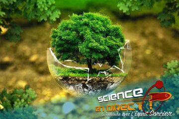 Visuel de l'émission n°3 de "Science en direct"