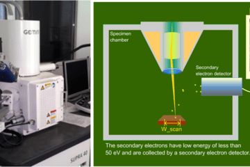 Microscopie Electronique à Balayage