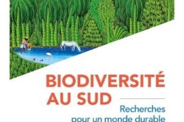 Couverture du livre La biodiversité au Sud chez IRD
