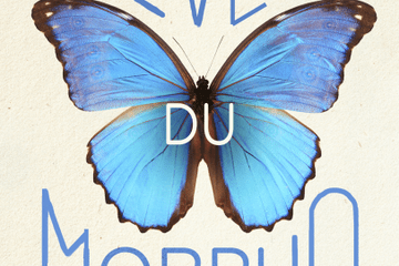 Couverture du livre L'éveil du morpho