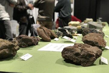 Geologie 43