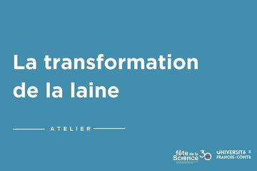 Transformation de la laine