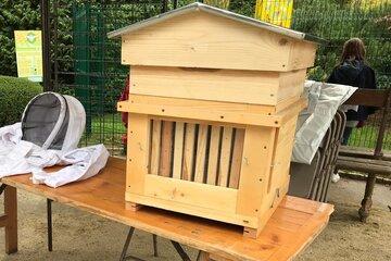Abeilles