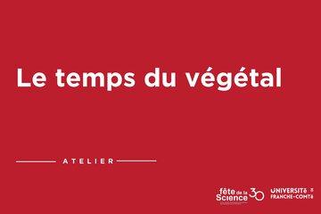 Le temps du végétal Le temps du végétal