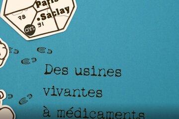 Usines vivantes à médicaments