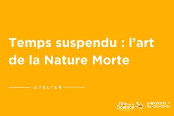 Temps suspendu : l’art de la Nature Morte