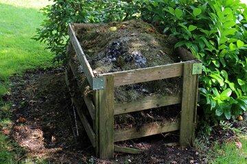 Atelier d'initiation à la pratique du compostage compost