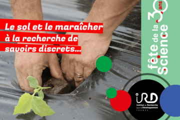 Visuel maraichers IRD SU