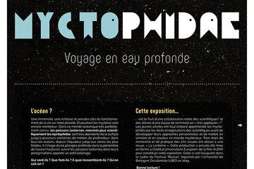 Exposition Myctophydae