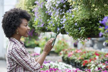 A la découverte des plantes qui nous entourent !