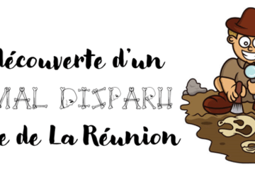 A la découverte d'un animal disparu de l'île de La Réunion