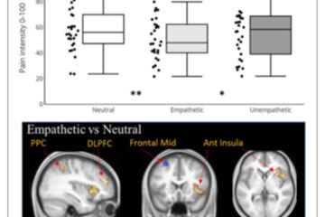 visuel neurosciences