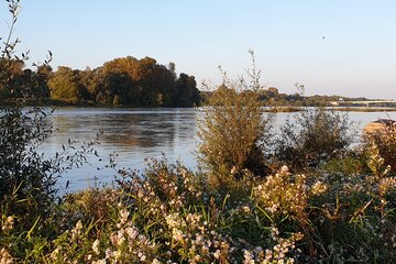 Bord de Loire