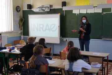 Intervention d'un chercheur INRAE en classe