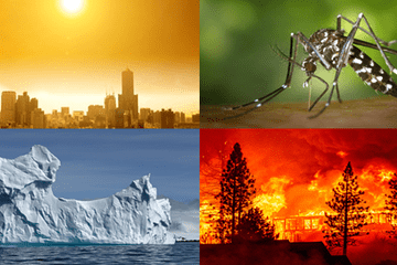 Impacts des changements climatiques sur la santé humaine.