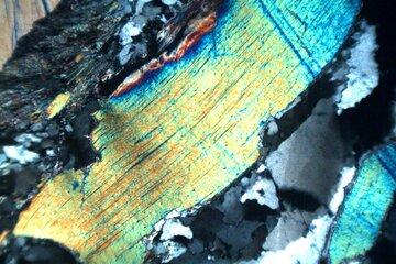 Lame mince d'un orthogneiss observée au microscope en lumière polarisée analysée