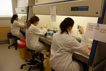 Personnel manipulant sous PSM (Poste de Sécurité Microbiologique) dans un laboratoire de type 2