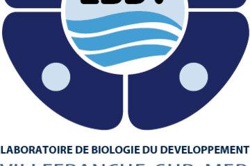 IMEV -  Laboratoire de biologie marine CNRS / Sorbonne Université