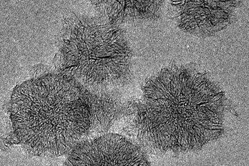 Image en microscopie électronique par transmission des carbones nanostructurés