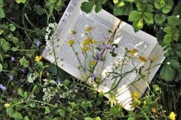 Visite et lectures au jardin