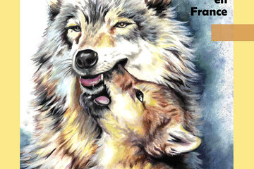 Loups