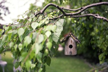 Nichoir pour oiseaux