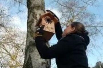 Pose d'un nichoir dans un arbre 