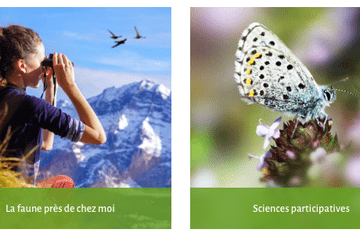 Recenser la biodiversité LPO PACA