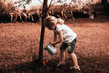 Enfant arrosant un coquelicot sous un arbre