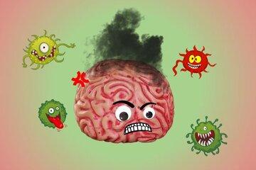 Cerveau attaqué par des virus