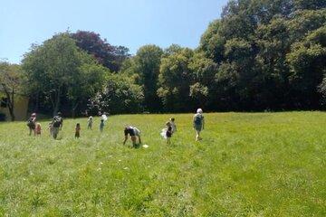 Enquête dans la prairie.