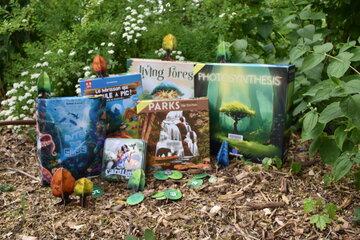 Jeux de société sur la nature, disposés dans l'herbe
