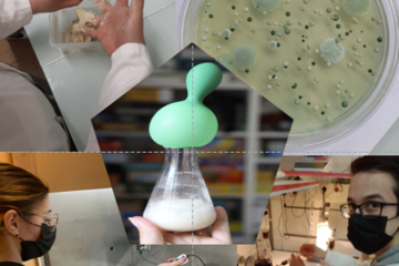 Ateliers levures et bactéries pour découvrir la fermentation de nos aliments préférés