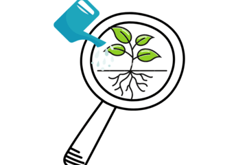 Les plantes : de l’arrosoir au microscope Un atelier pour observer les plantes sous un microscope
