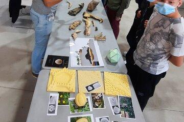 Présentation de la palynologie et de la paléoentologie - village des Sciences de l'UPVD 2021 Des enfants découvrent les ossements des pollens et des ossements d'animaux , en écoutant les explications d'un chercheur en Préhsitoire.