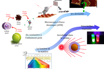 Parcours proposés sur le stand du CIMAP : échelle atomique et interaction lumière-matière