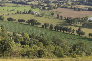 Foret et paysage de la Métropole Rouen Normandie