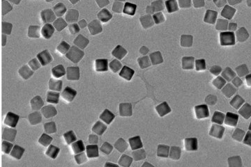 Image par microscopie électronique à transmission de nanomatériaux cubiques d'oxyde de fer