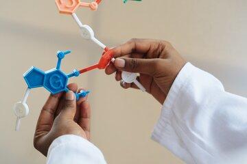 Tout savoir sur l’ADN
