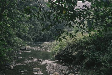 Photo d'un cours d'eau