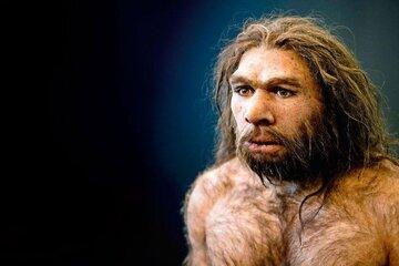 homme-neandertal